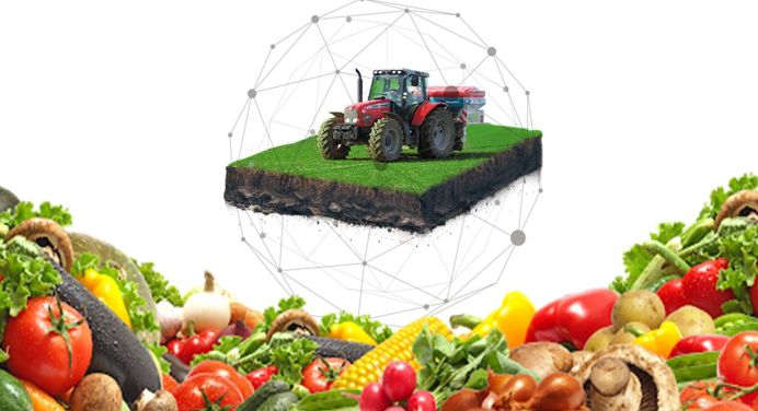 DİTAP Tarım İhracatçıların Umudu Oldu!