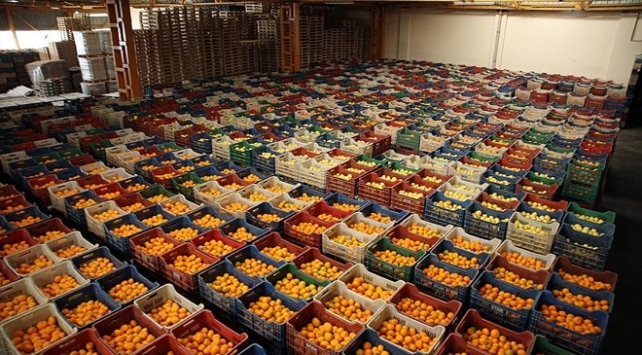 Meyve Sebze İhracatında Yüzde 22 Artış