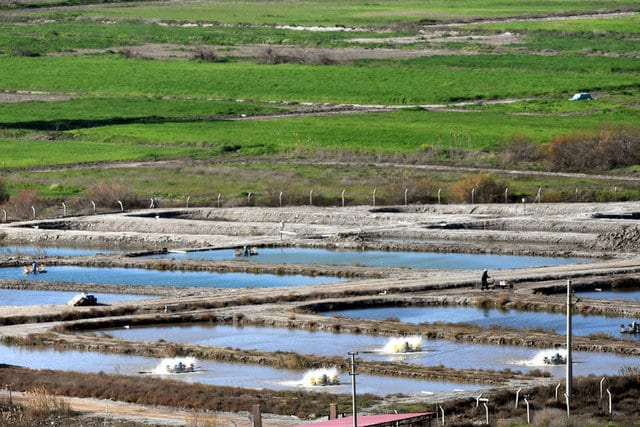 Balık Üretim Yerlerinin İzin Bedellerine Yüzde 50 İndirim