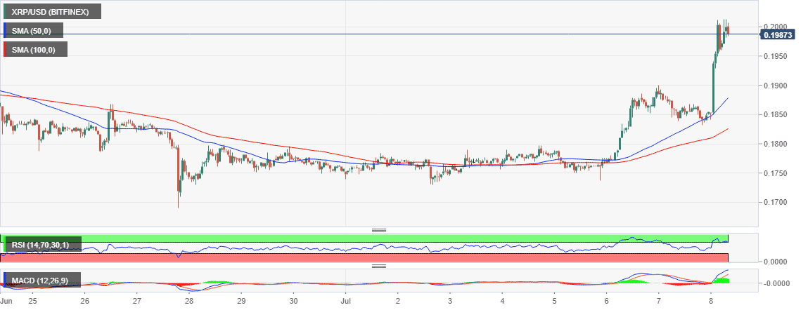 Kripto Para Piyasa Güncellemesi: Lider Altcoinler Ripple, Cardano ve Dogecoin