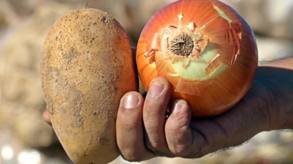 Patates ve Kuru Soğan İhracatında Ön İzin Şartı Kaldırıldı