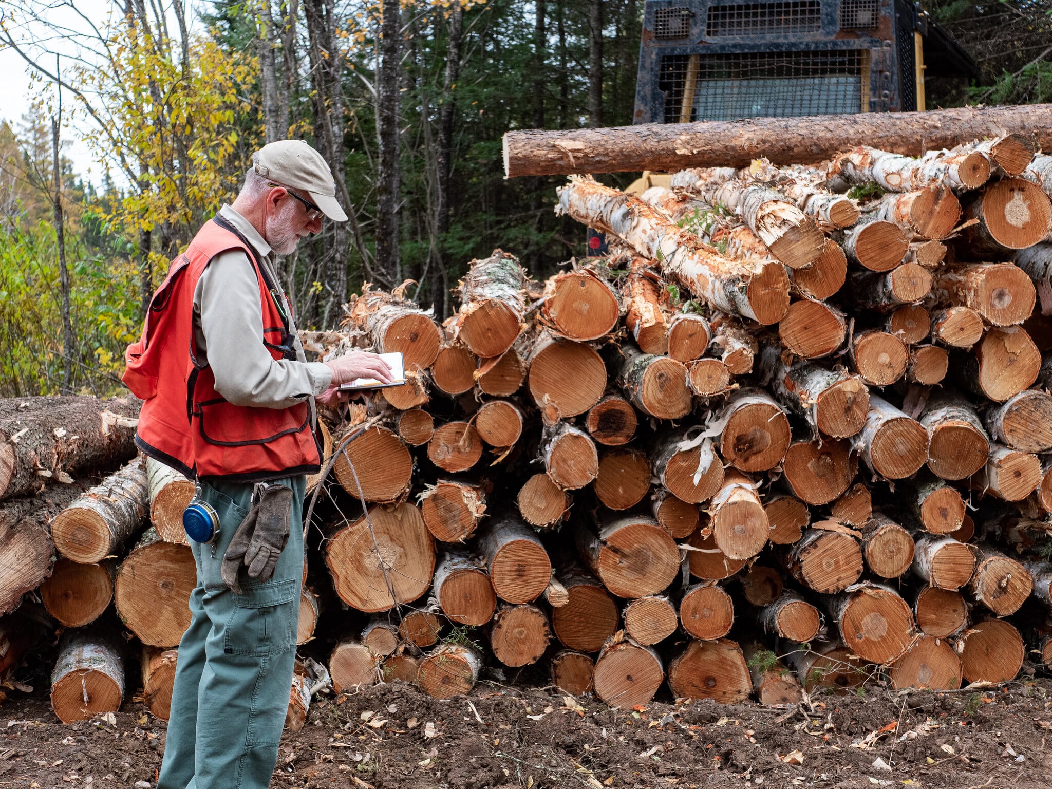 The Rise In Lumber Price Is Almost Four Times The Rise In Gold!