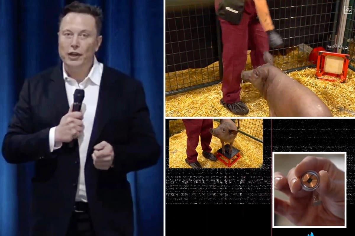 Elon Musk ist jetzt näher dran, Chips für menschliches Gehirn auf den Markt zu bringen