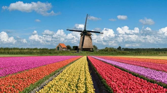 Die niederländische Wirtschaft schrumpft um 8,5 Prozent