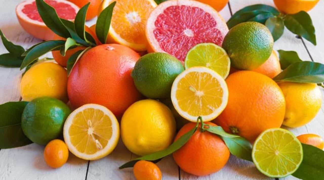 Rusya’ya Narenciye İhracatı Arttı