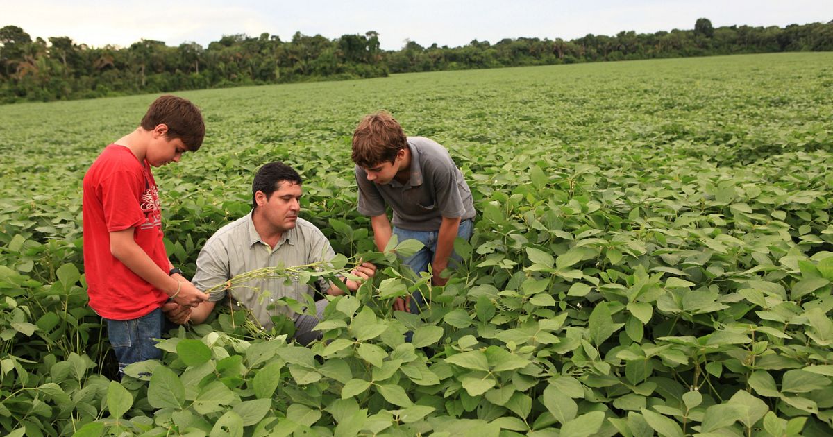 Farmers In Brazil Are Facing High Demand