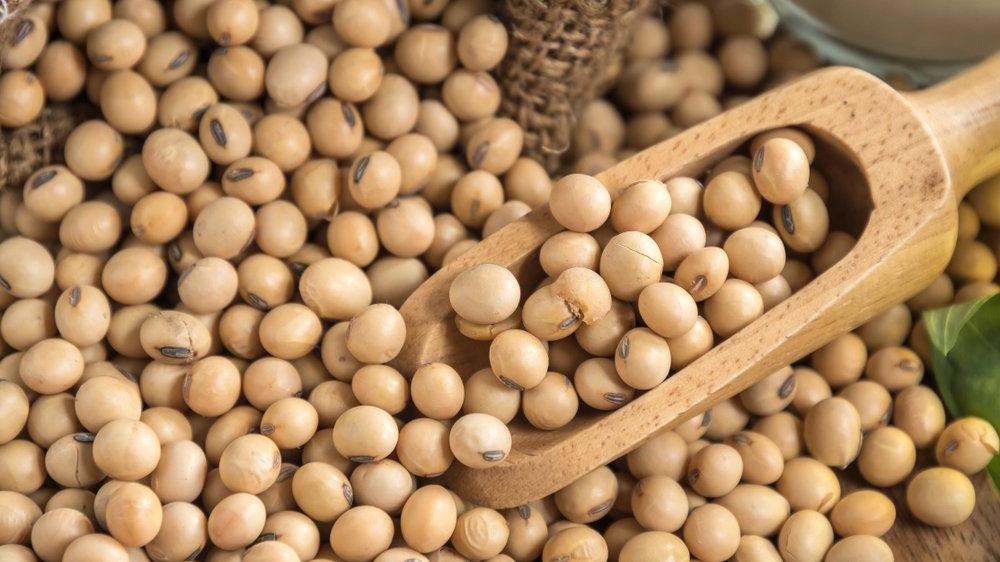 Soya Fasulyesi Fiyatları Uçuşa Geçti!