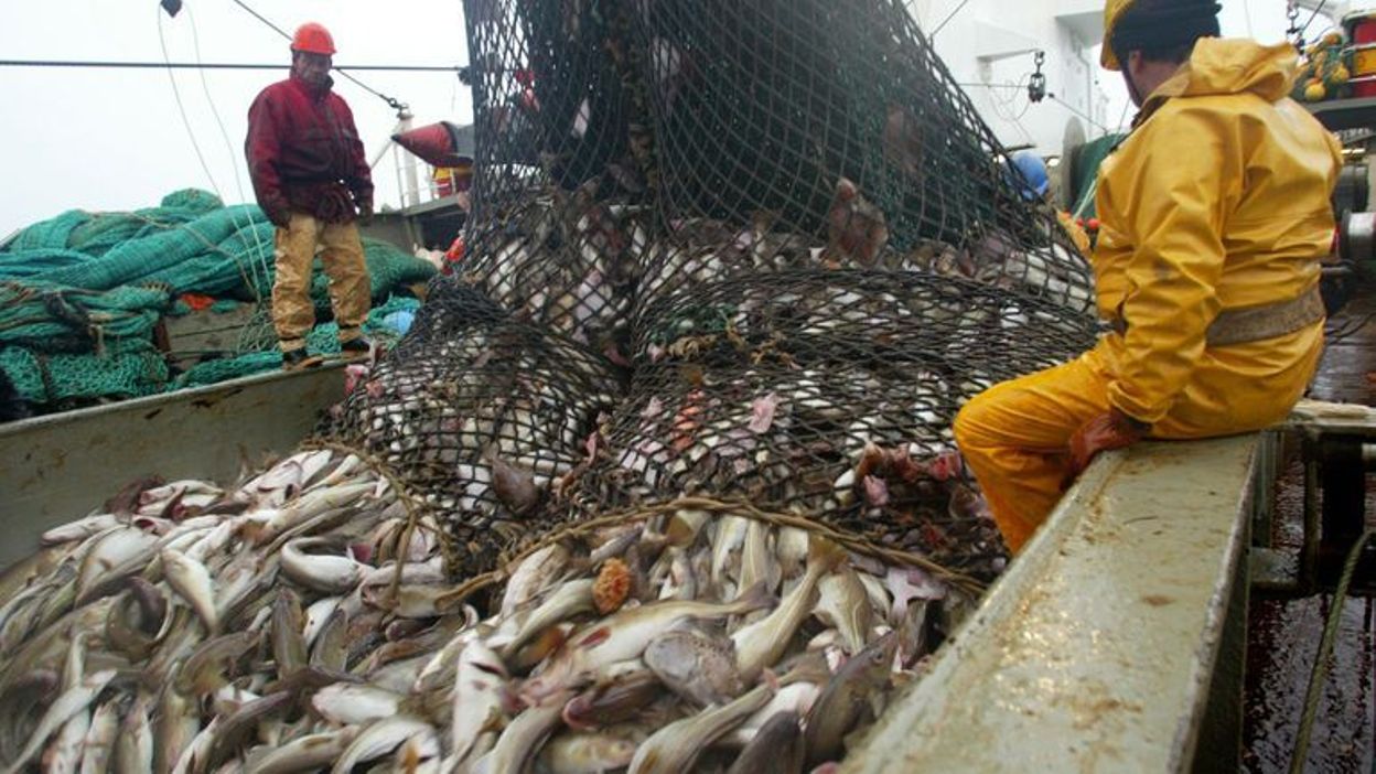 Norway will ban Union and British fishermen from entering its waters if there is no agreement