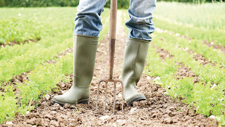 How Will European Agriculture Take Shape in 10 Years?