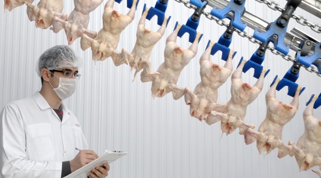 Tavuk Ayağıyla Çin Pazarına Giren Türk Firma Hedef Yükseltti