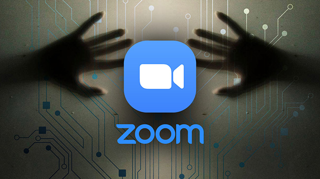 How did Zoom survive the blockade of FBI and FTC?