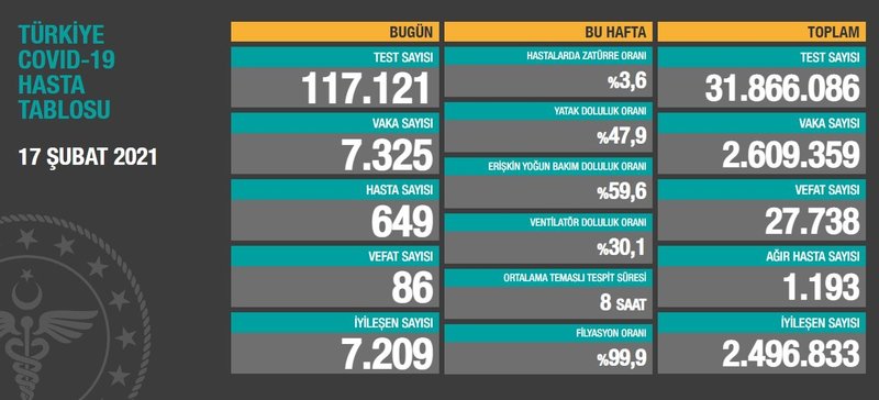 Daily Number of Cases in Turkey on February 17