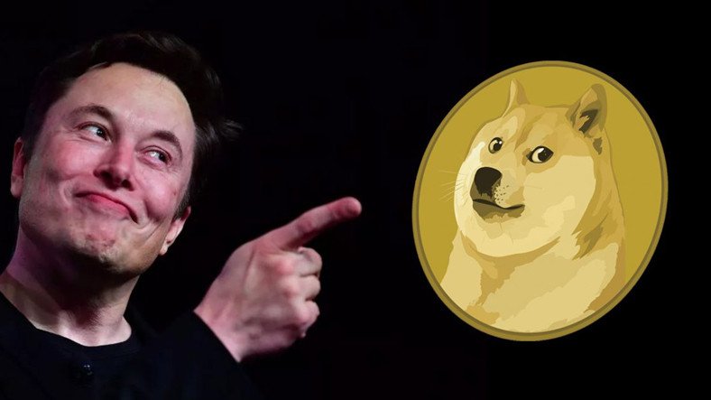Dogecoin Yüzde 20 Değer Kaybetti!