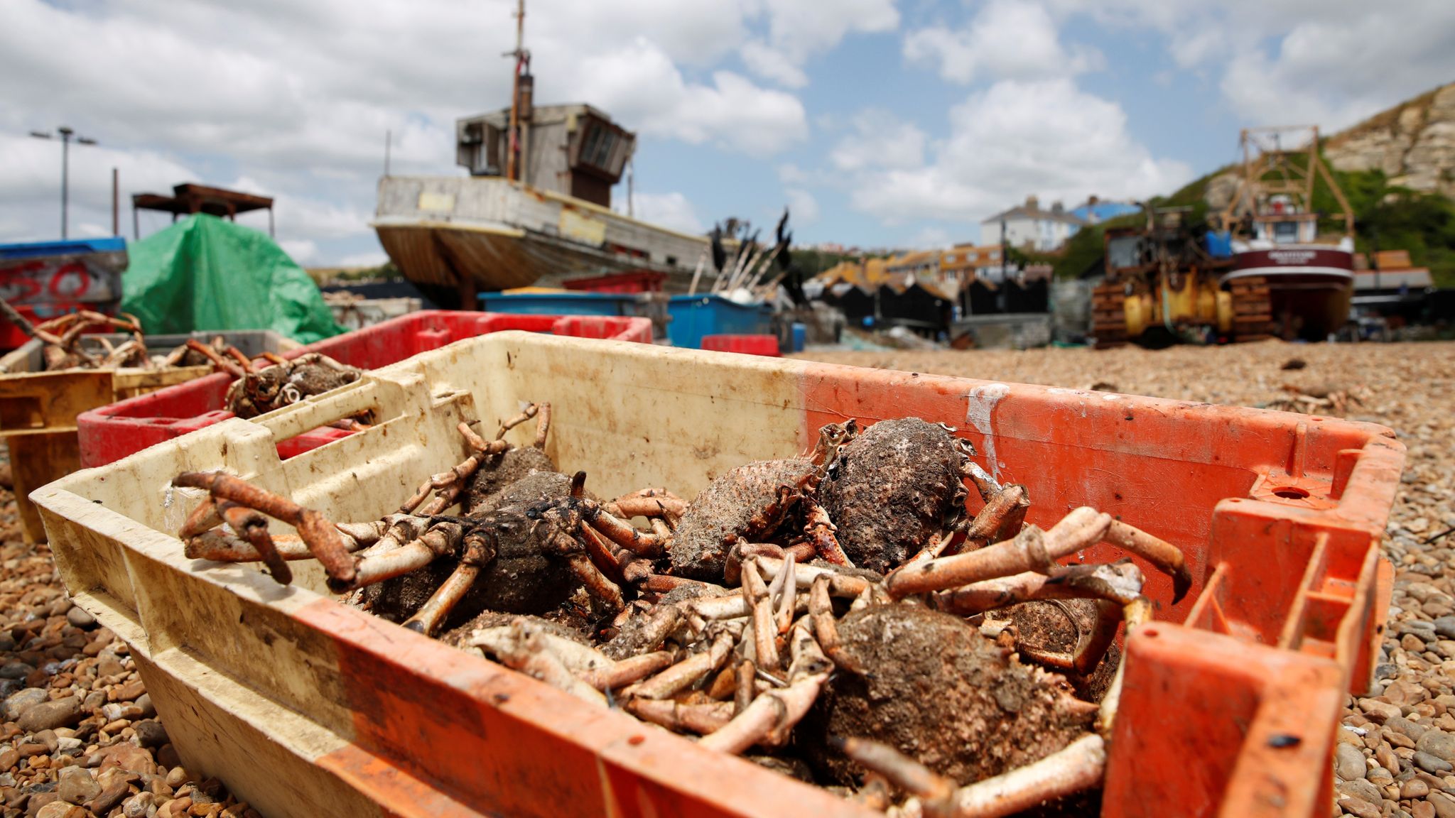 İngiliz balıkçılar müşteriler için savaşıyor ve iki türü yeniden adlandırıyor