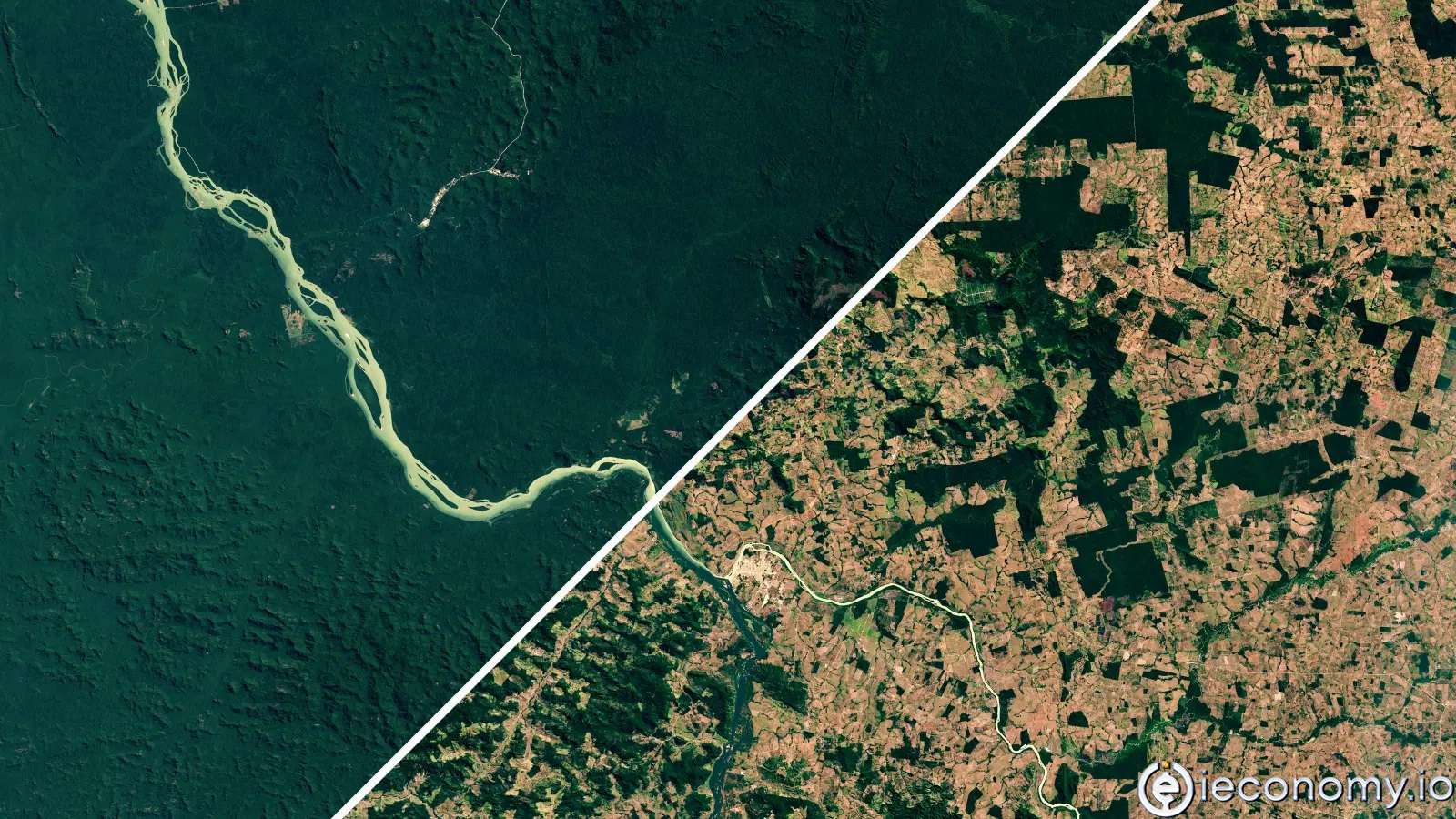 Jair Bolsonaro, yağmur ormanlarını kurtarmak için milyarlarca dolar istiyor