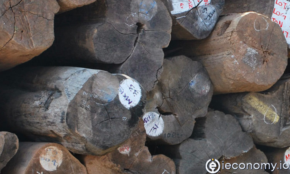 China feeds the construction boom with German wood