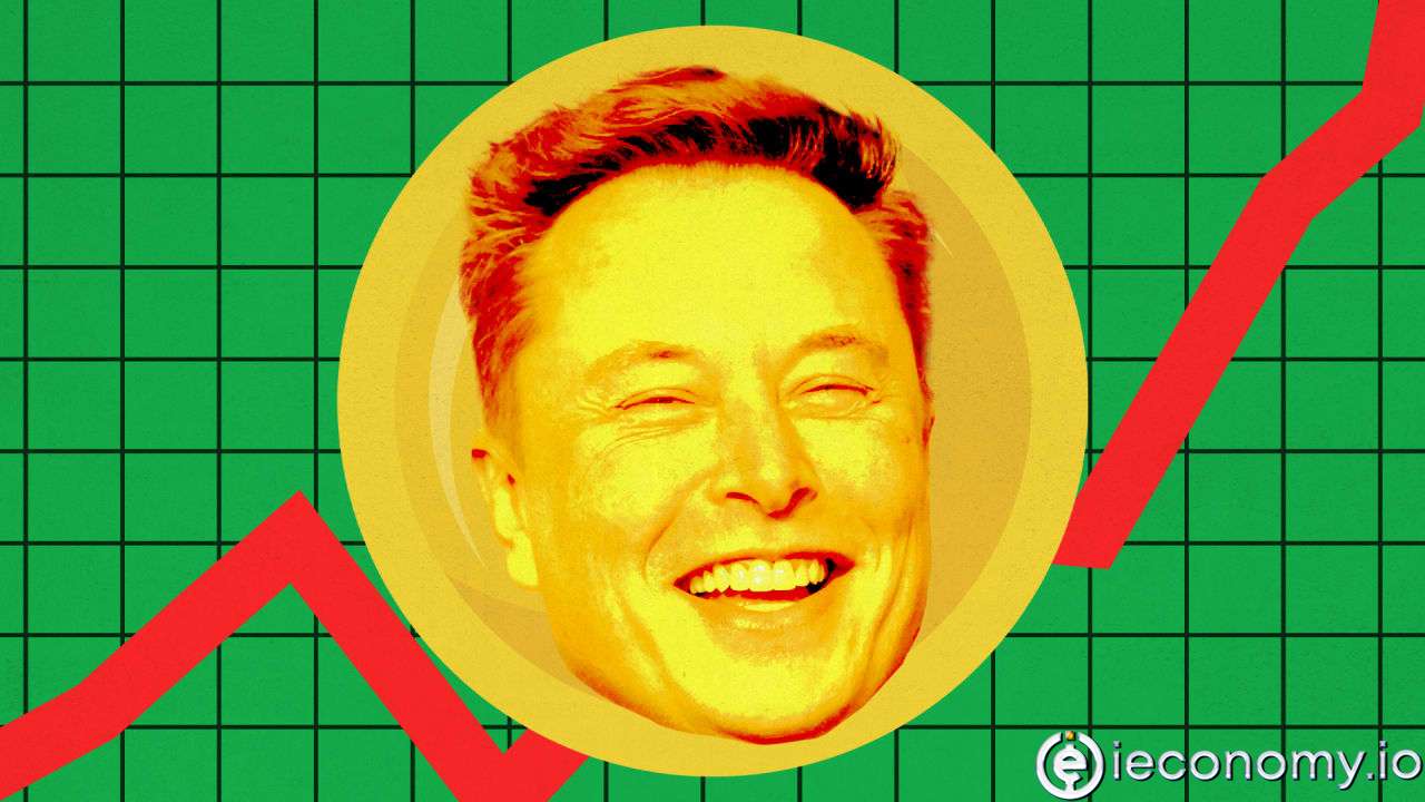 Elon Musk Asked About Dogecoin: Prices Spiked!