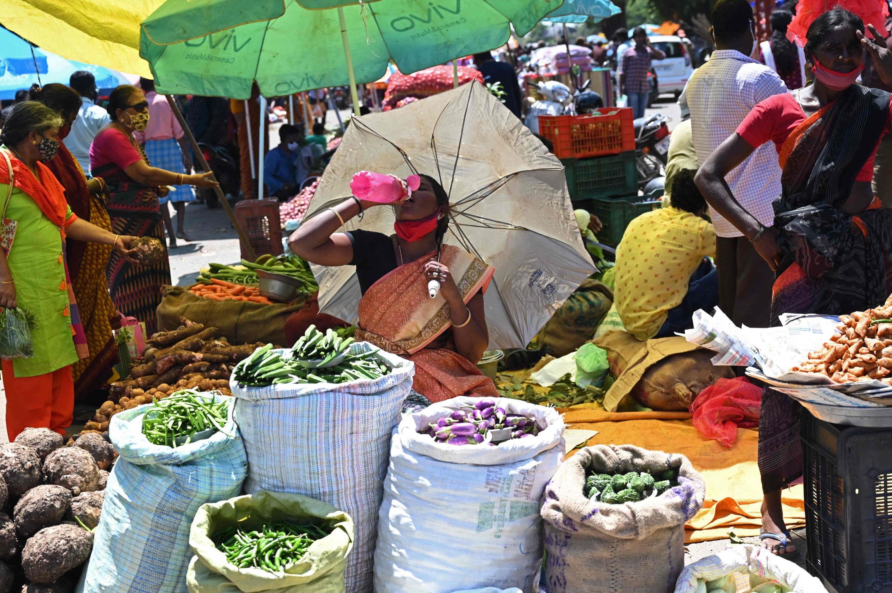 In September, world food prices rose for the most in ten years