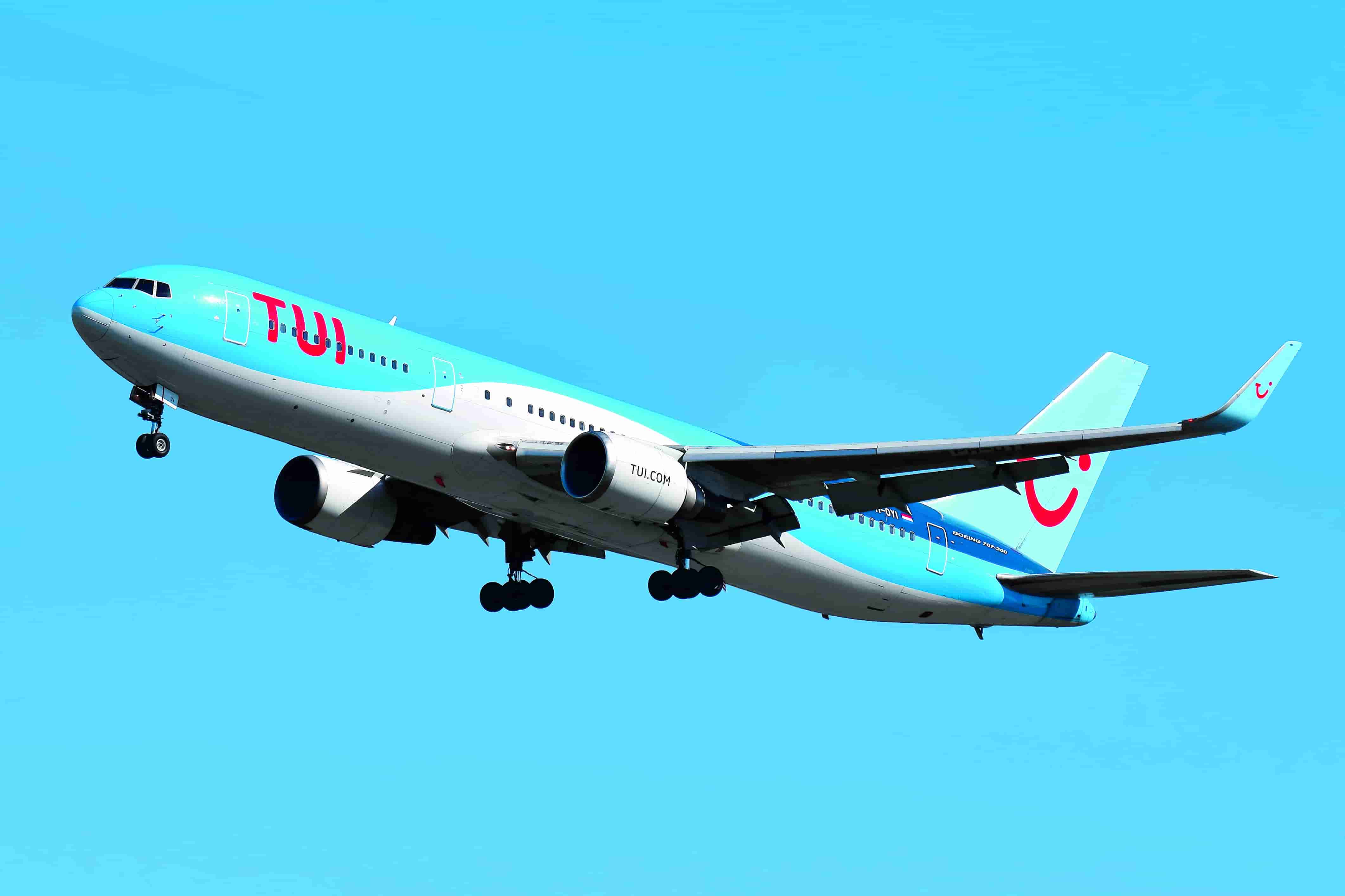 Tui, 2022'de iş dünyasında bir toparlanmaya güveniyor