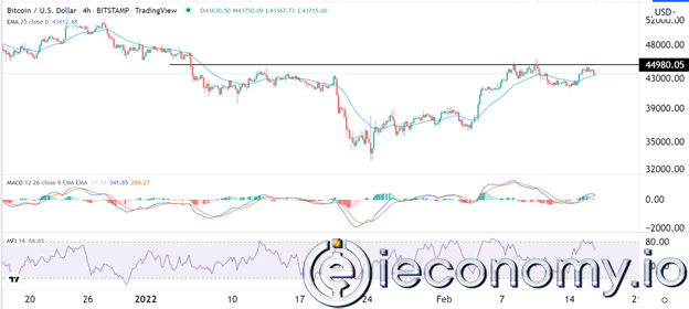 Forex Signal For BTC/USD: A Discussion Session on the Bull Market