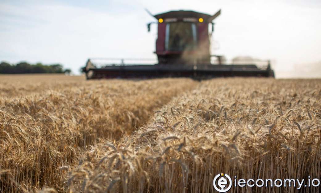 Wheat prices are at their highest in 14 years