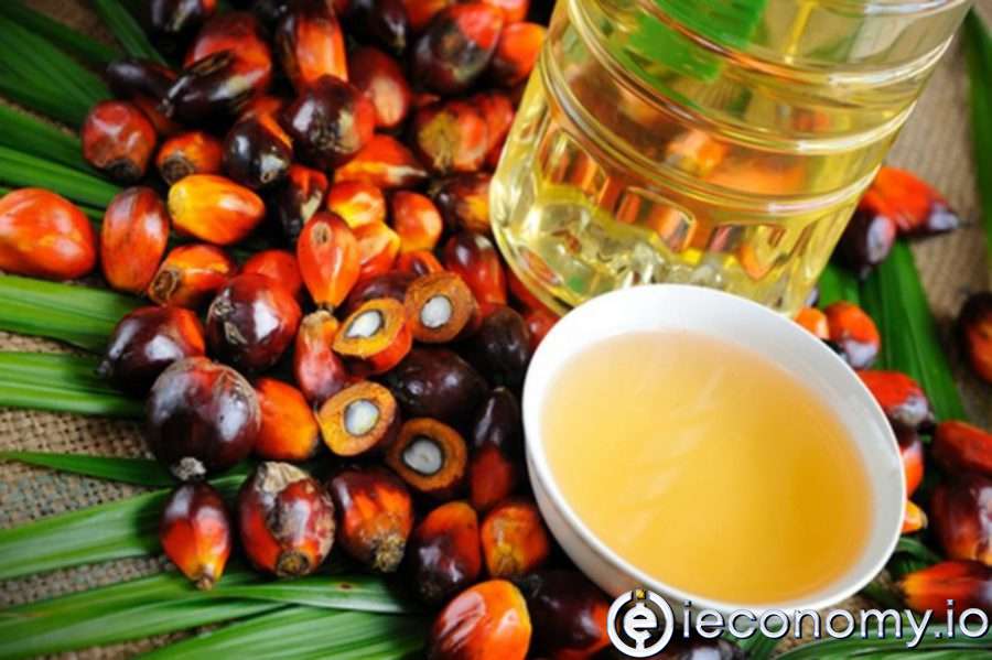 Palm yağı fiyatları rekor kırdı