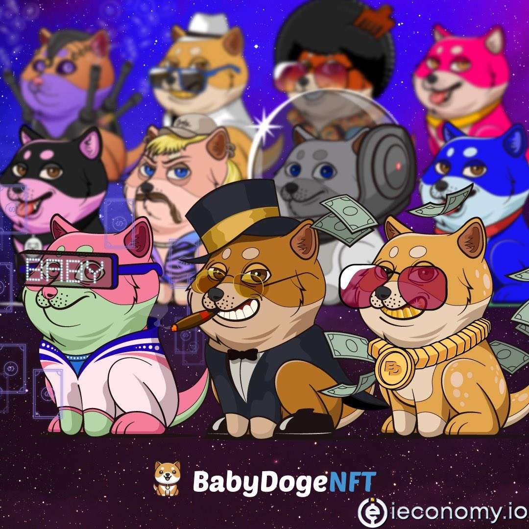 BabyDoge Launched An NFT Collection