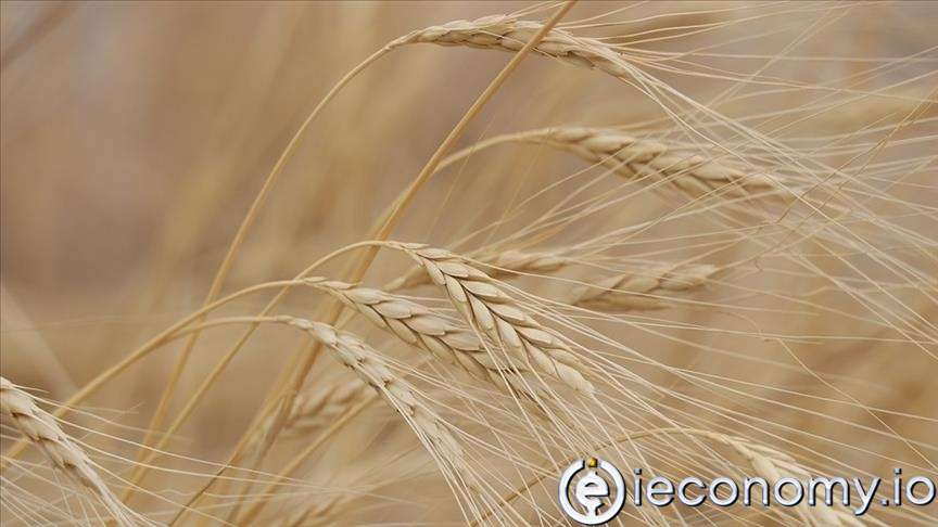 Küresel Gıda Krizi İçin İstanbul Çözümü