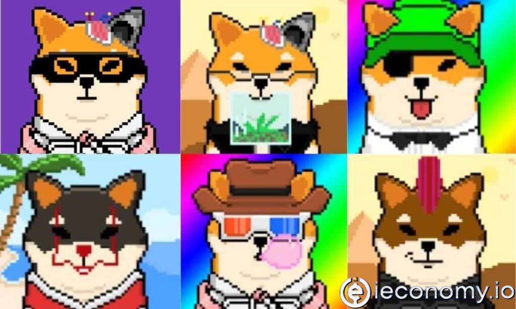 SHIBOSHIS NFT nedir?