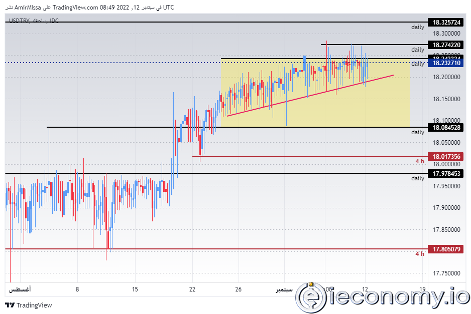 USD/TRY Forex Sinyali: Temmuz İşsizlik Verilerinden Sonra Durağan Görünmekte