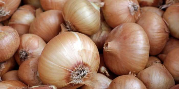 Soğan Bu Ülkede Et Fiyatını Geçti