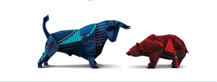 JAPON MUM GRAFİKLERİ & STRATEJİLERİ