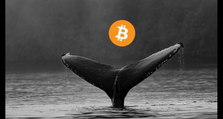 Bitcoin Boğası İçin Takip Edilmesi Gereken Sinyal!