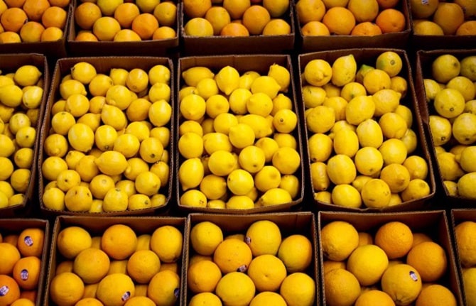 10 Bin Tonluk Limon İhracatına İzin Çıktı