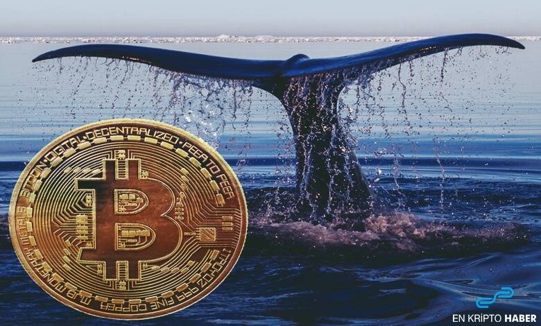 Satoshi is Still the Largest "Whale" with $ 10.9 Billion Bitcoin!
