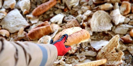 Günde 7 Milyon Ekmek Çöpe Gidiyor!