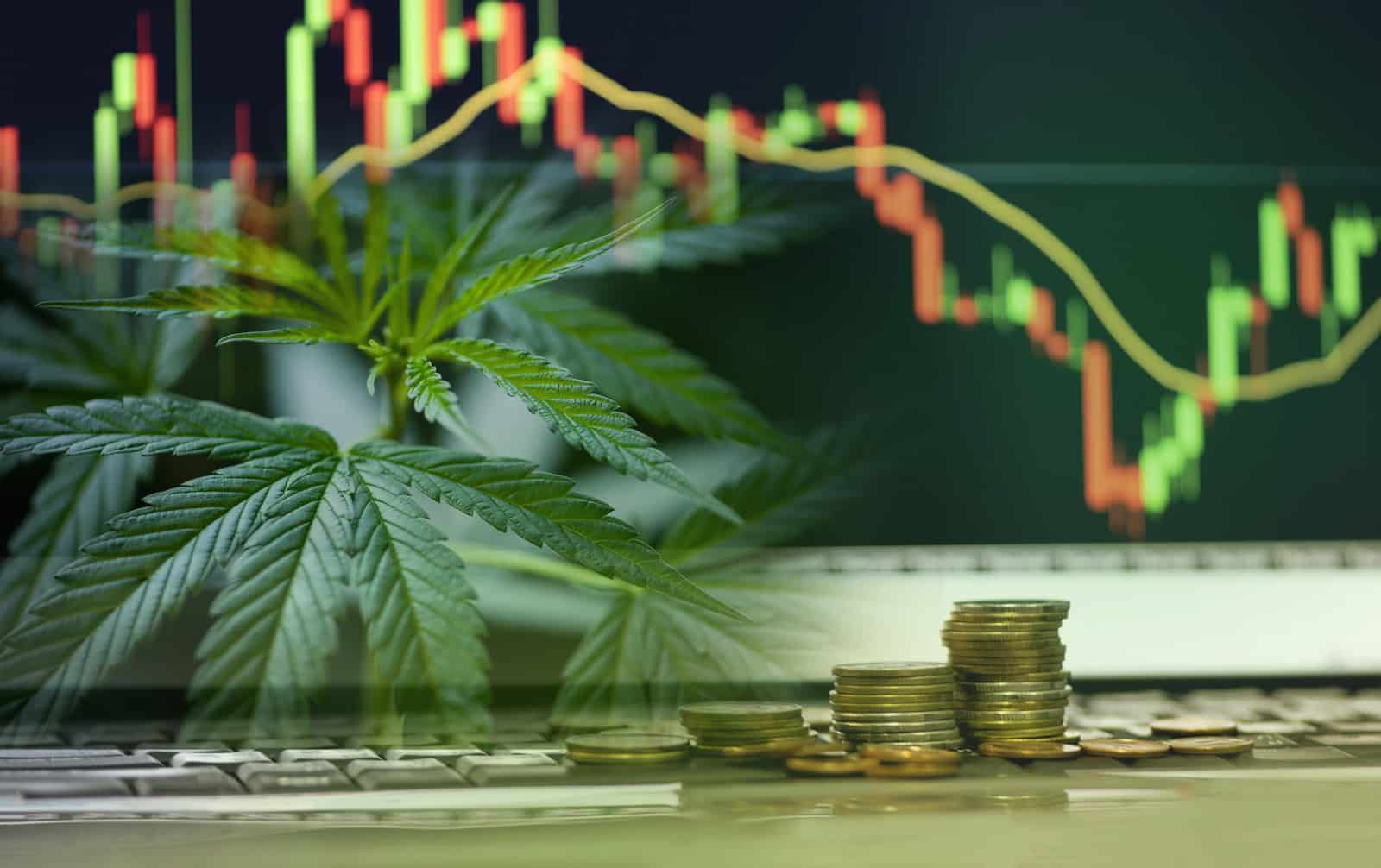 Aurora Cannabis Analysis: Company reached to 4-Year Low