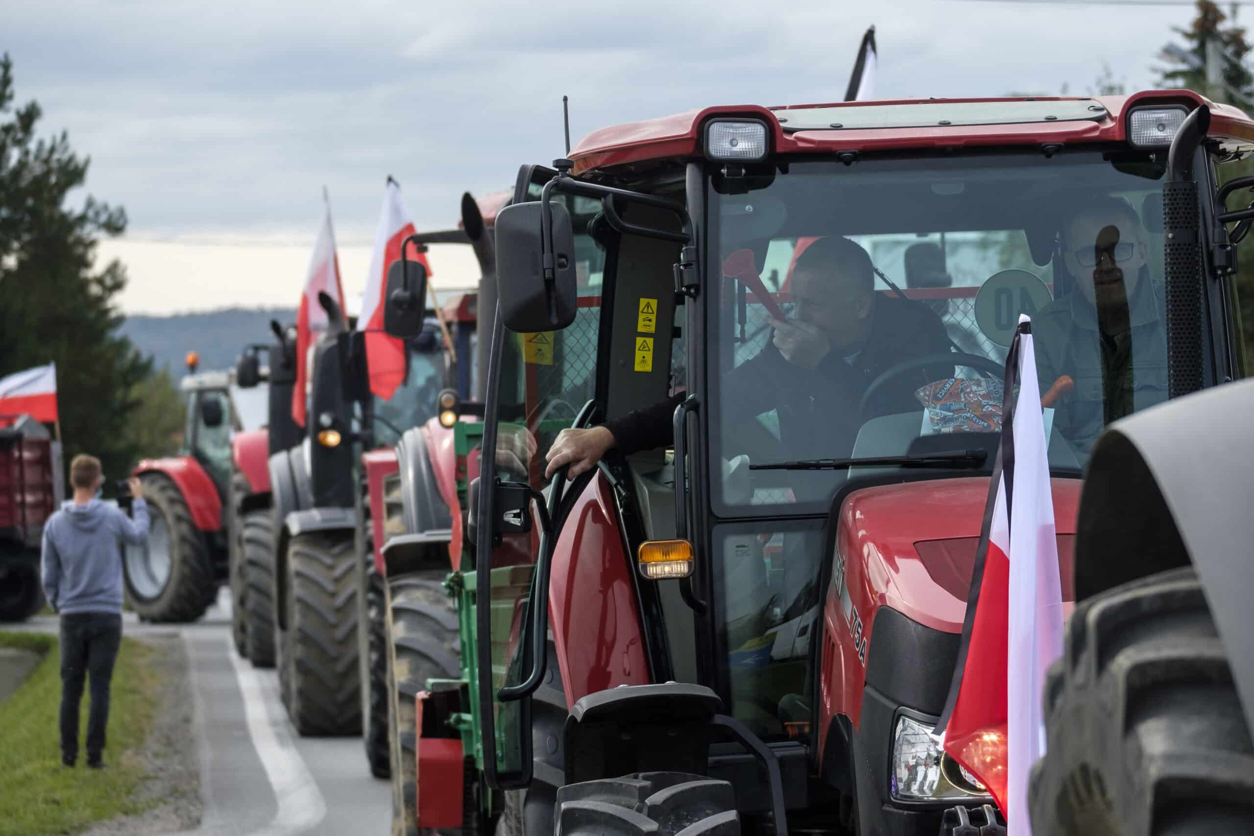 Polonyalı Çiftçiler Kürk Çiftliklerini Yasaklayan Yeni Önerilen Yasayı Protesto Etti