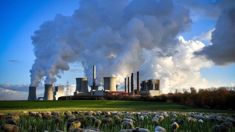 Küresel Ekonominin Yüzde 41’inde Karbon Salınımını Sıfırlama Hedefi