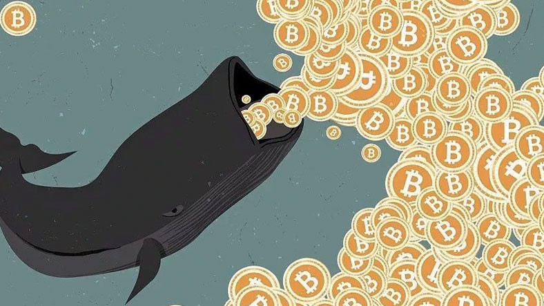 Biggest BTC Whales Move to Coinbase!