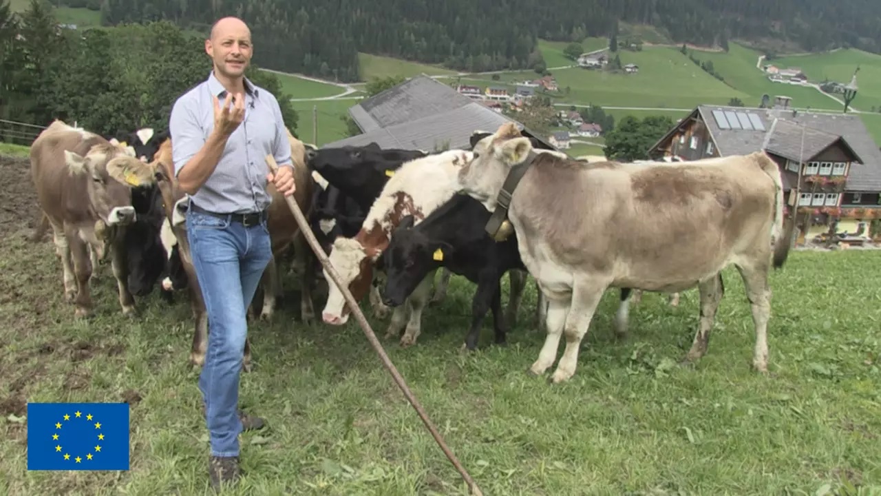 Avusturyalı çiftçiler 300 milyon € 'dan fazla yatırım desteği alacak