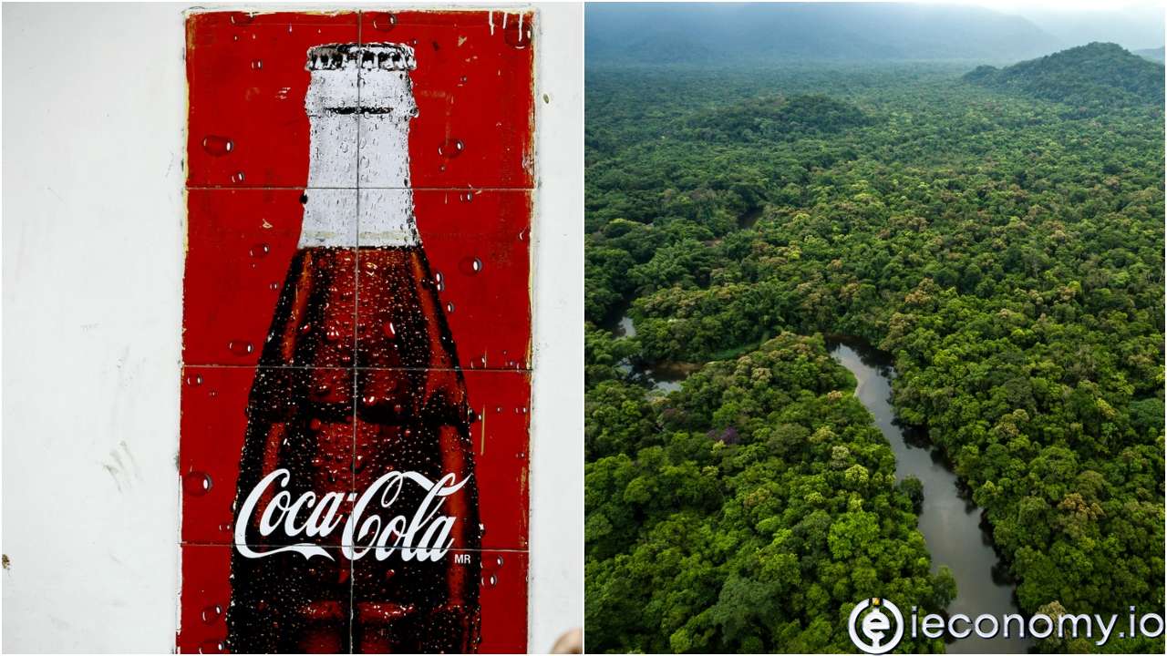 Coca-Cola agreed on Wednesday to sponsor part of the Amazon rainforest