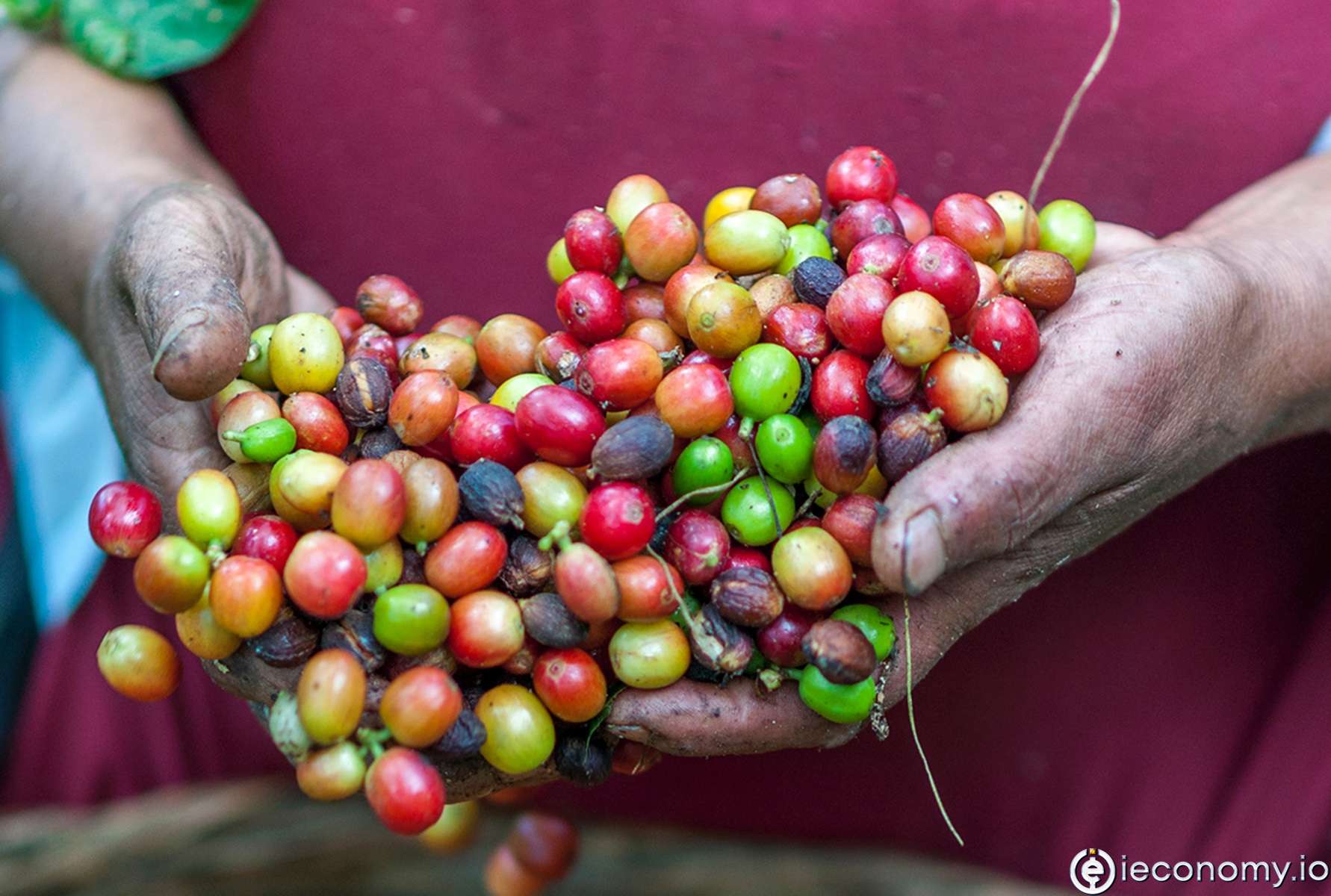 Küresel kahve tüketimi üretimi geçecek