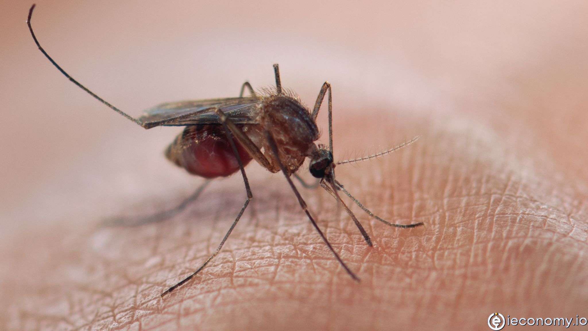 Biontech is aiming to develop a vaccine against malaria
