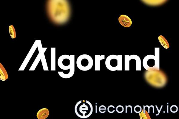 Algorand DeFi Projeleri İçin Fonunu Açıkladı