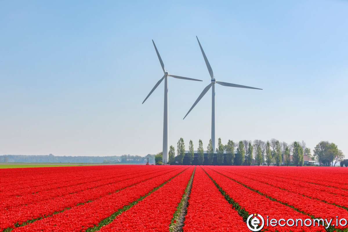 Hollanda sürdürülebilir enerji kaynaklarını artırmak için milyarlar verecek