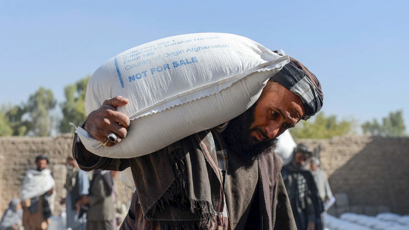 Taliban, işçilere buğday ile ödeme yapan bir istihdam programı açıkladı