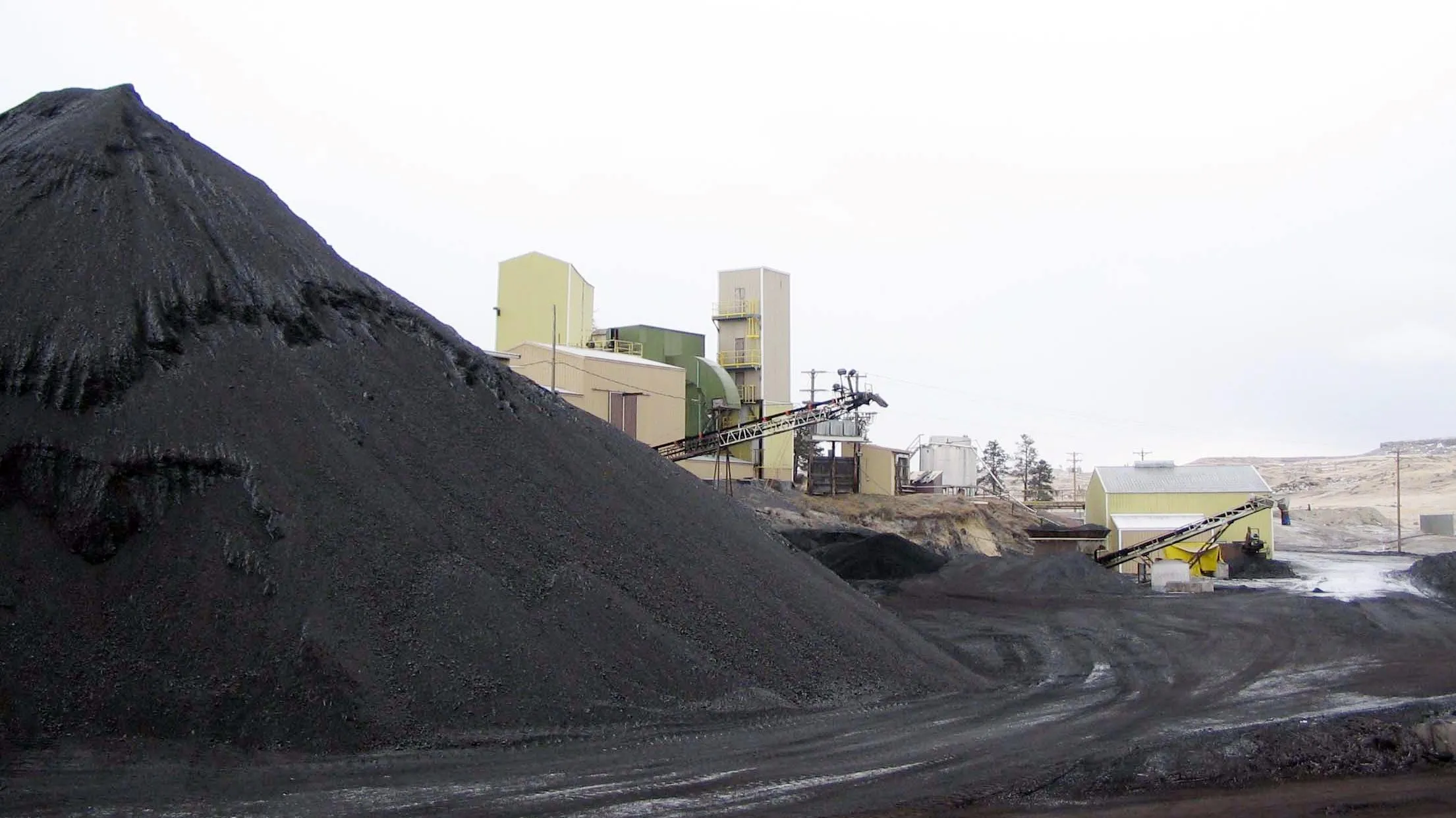 The volume of coal burned in the USA will increase this year