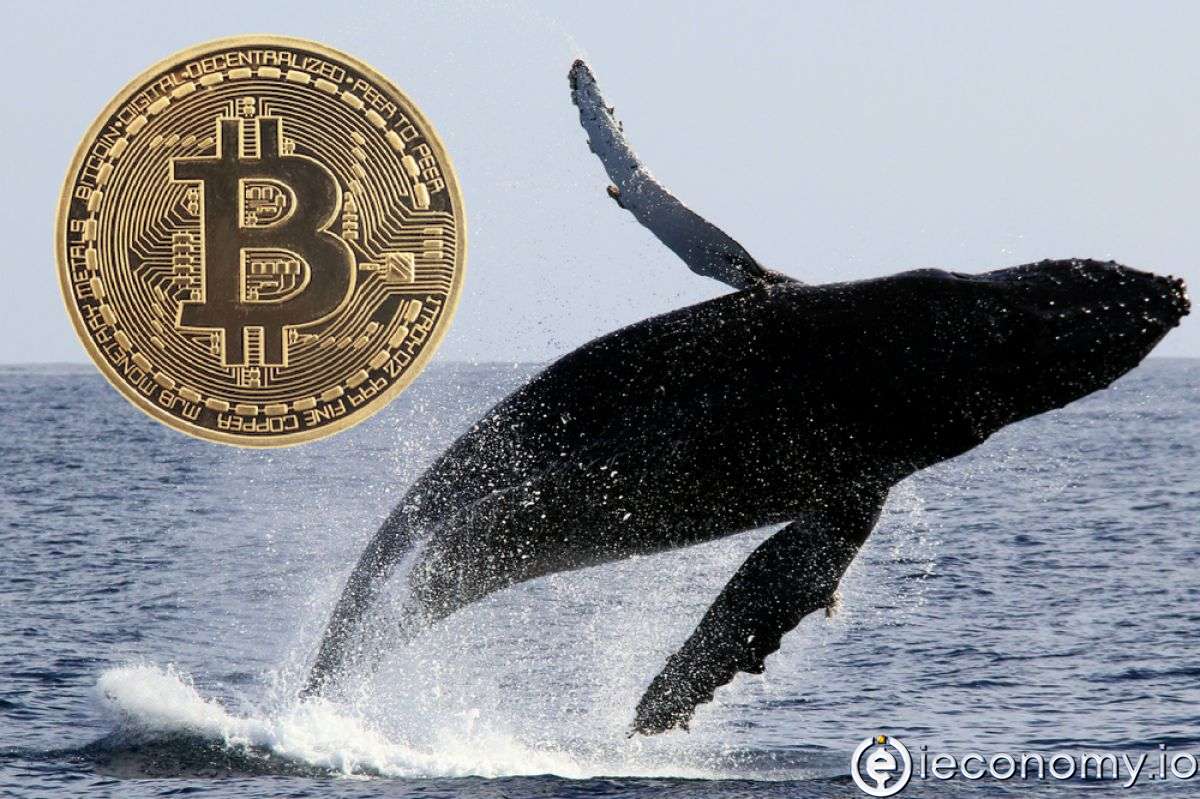 Bitcoin Balinaları 2,26 Milyar Dolarlık BTC Satın Aldı