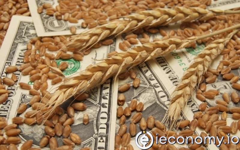 Buğday fiyatları 9,5 yılın en yüksek seviyesine yükseldi